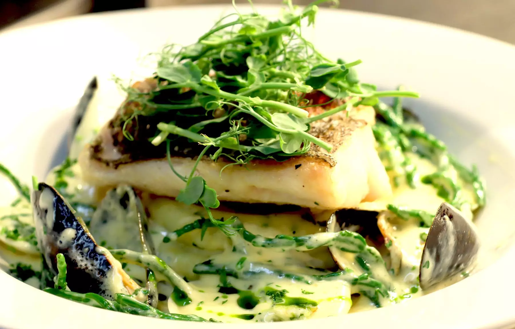 Fish dish at Fish 55